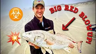 Mustang Island Texas Surf Fishing: BIG Redfish Ep  2
