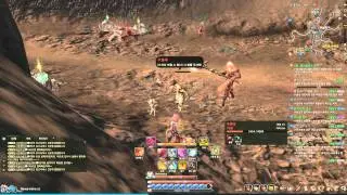Lyn Summoner PvE