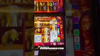Indian Ruby geht ab! #jackpot