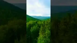 15 Beautiful Nature Stock Footage Royalty-Free, No Copyright, Freeownload #royaltyfree #nature