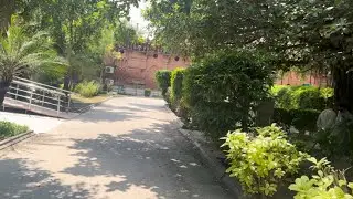 Exploring the Lahore High Court: A Sanctuary of Serenity Amidst Legal Chaos