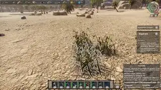 Ancient Farm