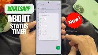 Как использовать статус WhatsApp с опциями исчезновения