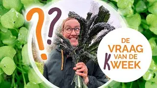 Vraag van de (K)week 10# |Groeilamp zaailingen | kweeklamp voor moestuin