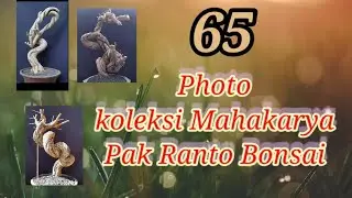 Koleksi photo Mahakarya maestro bonsai dari Pemalang Pak Ranto Bonsai - Part 1