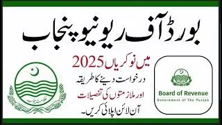 Board of Revenue Punjab Jobs May 2025