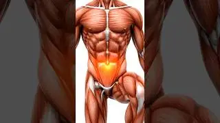 Standing Knee Raise | Core Activation Exercise #fitnessshorts #fitness #shorts
