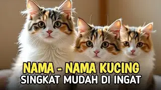 nama - nama kucing singkat dan paling mudah di ingat