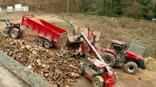 JD Forestry Limited, Tree Surgery, Forestry, Waste wood recycling, Renewable Energy, Biomass,