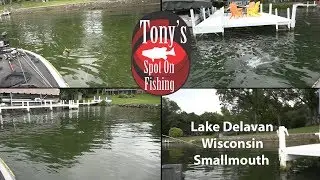 Lake Delavan Wisconsin Smallmouth Bass