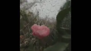 [FREE] lil lotus type beat x drippin so pretty x guardin midwest emo guitar type beat 