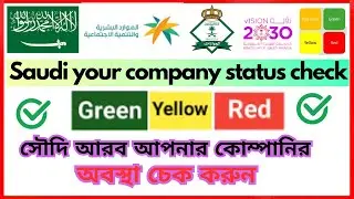 How to Check your company status in Saudi Arabia | Saudi your company red green yellow Check 2024