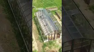 Sklen&iacute;k LIMES Variant M 💚🌿🍅🌶️