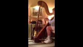 Salvi Angelica Pedal Harp - 