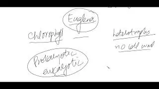 TWO-KINGDOM CLASSIFICATION SYSTEM | 9th Biology | Urdu , Hindi