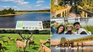 Palmyra Cove Nature Park 🦌🌿 | 250-Acre Urban Oasis with Wildlife, Trails & STEM Wonders