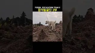 화석발굴단 2부 (Fossil Excavation Team II)  #강아지 #반려동물 #반려견 #애견드라마 #애완견 #메리와니키  #puppy #댕댕이