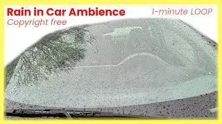 Rain in Car Ambience SFX (No Copyright Loopable)