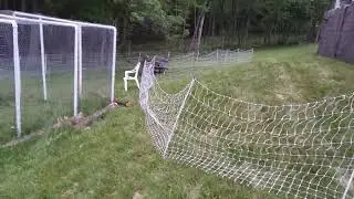 2025 05 25 Electrifying The Premier 1 Poultry Netting