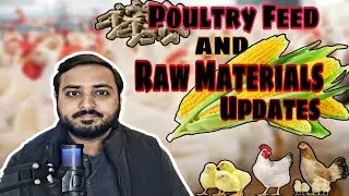 Poultry Feed Raw Materials Price Updates. Corn Soybean,Canola,Rapeseed,Fish Meal,Poultry Meal Rates.
