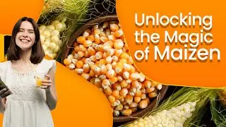 Unlocking the Magic of Maizen: Exploring Its Origins, Uses, and Culinary Wonders