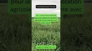 🎥 268/360 &ndash; Le foncier agricole en Guyane est-il un bon investissement ? #foncieragricole #investir