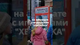 Бизнес на автомате с игрушками 😎 #бизнес #бизнесснуля #вендинговыйбизнес