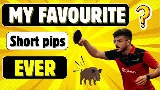 My FAVOURITE Table Tennis short pips! Review of Spinlord Keiler 1.8mm