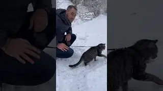 Milo retrouve la neige ! ❄️😱