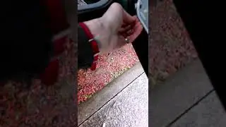 Skoda Fabia «TUTO fr » infiltration d'eau dans la voiture