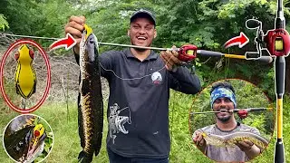 Bravvo Fishing Rod Test 🎣 | மயில் விரால் & நாட்டு விரால் பிடித்த அசத்தலான Fishing Adventure
