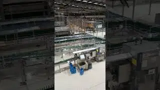 Beer production