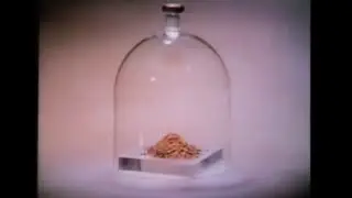 Maxim Freeze-Dried Coffee Commercial (1970)