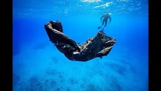 Unexpected Encounter While Freediving Electric Beach