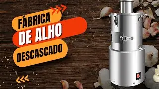 Fábrica de Alho Descascado | Descubra Como Montar
