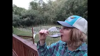 I stayed at a Subscriber's Micro Vineyard ~ YouTube Van Life Friends #vanlife #california