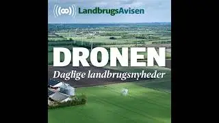 Juletr&aelig;erne bliver dyrere i &aring;r