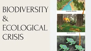 Biodiversity & Ecological Crisis| Explained| Environmental Biotechnology