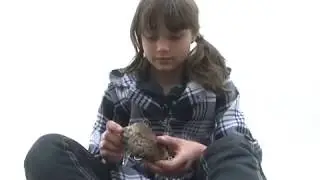 Древности школьного музея