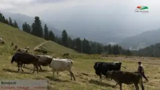 Boniprati