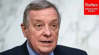 Dick Durbin: 'We Can Make This A Better, Safer Nation' And 'A Nation Of Immigrants'