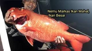 Diluar Dugaan Kawang Nemu Markas Ikan Besar, Ikan Mahal !! Spot Lunyuk Part II