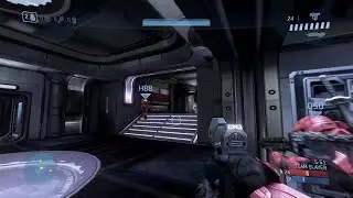how to deal with team killers in halo :-)