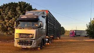 PRIMEIRO CARREGAMENTO DO FH DEPOIS DE PRONTO…