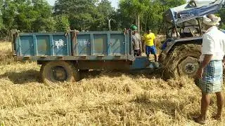 CG FARMER 11 CG HARVESTING CG KHETI BADI