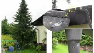 Blitzeinschlag in Baum mit Überschlag auf Haus
