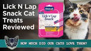 Lick 'N' Lap Snack- The Lickable Cat Treat Reviewed (What do Cats REALLY Think?)