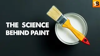You'll Never Guess What Happens When Paint Dries!