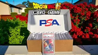 BEST DRAGON BALL TCG GRADED CARDS REVEALS!