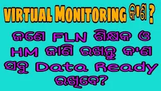 Virtual Monitoring  By OSEPA For FLN Classes